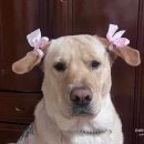 우리들 세상 이미지