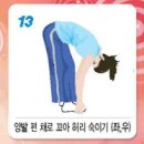 건강 스트레칭 체조 이미지