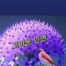 휠링 - 연수구 | 휠링