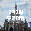 2박3일 도쿄 여행 DAY 2 도쿄디즈니랜드 (40주년 기념패스)