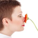 (주)허브코 이미지