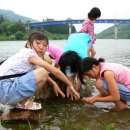 진정초등학교 이미지