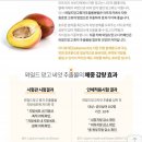 이합필라테스 | 청주 운동하는엄마 된 이유 코로나블루 두번째팁✌