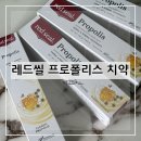 7162 | 치약 잇몸관리 프로폴리스 데일리치약 치아관리 구강케어 구매 후기 및 추천(+내돈내산+영수증 인증)