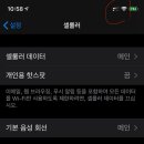 최근희소식 이미지