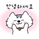 이즘포토스튜디오 이미지