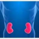 약초랑 닭이랑 이미지