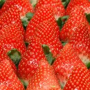 홍성구항한우 이미지