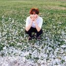 언제나;예쁘다 이미지