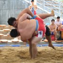 스포츠파크 씨름장 이미지