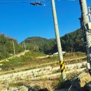 병곡1리 고래불해수욕장 이미지