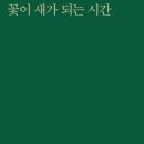꽃이되는시간 이미지