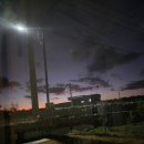 함덕, 수형 이미지