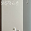 우림집투 네이버블로그