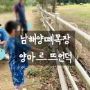 동선2목장 | 남해양떼목장 양마르뜨언덕에서 먹이주기 체험와 맛있는 팥빙수도 먹고 왔어요.
