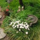 소라면 장척 이미지