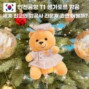 [국비지원] [11/29] 유튜브 크리에이터 | 인천공항 실버크리스 라운지 싱가포르 항공 이용시간 위치 조건 음식