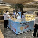 (주)구름라디오7 | 더현대대구 11월 7일 금요일 시작 둘째주 지하1층 팝업 정보 구름식빵 두바이쫀득쿠키 포동푸딩