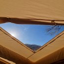 풀빛향기 | “이 세계에서 오감(五感)으로: 특히 촉각을 곤두세워”