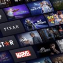 플러스 독 이미지