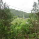 오디마을펜션 이미지