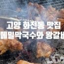 메밀막국수와왕갈비