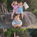 묘솔
