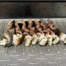 진솔원 명품 민물장어 / 어진수산 국내산 자포니카 손질장어 600g 내돈내산 남녀노소 온가족이 몸보신...