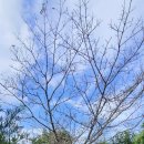 제남농장 이미지