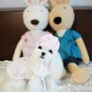 도로시 퍼피 이미지