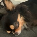 새통영병원 | 쫄보의 담낭절제술 후기 -1