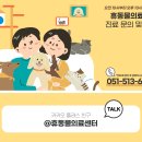 온천장고양이 이미지