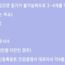 법인나비