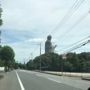 대불농장 이미지