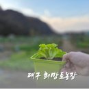 임해농장 | 대구 아이 체험 희망토농장 겨울농장 만들기