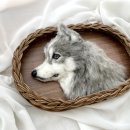 미니어처 라탄을 만드는 하루 [만드는하루] | 반려동물양모초상화 배우고 만든 샘플 ㅣ 라탄액자까지 직접 만드는 핸드메이드 작품