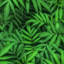 그린공조 이미지