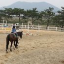 경안합기도 이미지