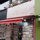 뿔난여우 이미지