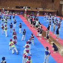 고성군종합운동장 축구장 경남신문