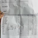 멍멍냐옹동물병원 이미지