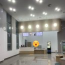 을숙도문화회관 아트클래스 시리즈 V | 아트클래스 - 전원경의 “미켈란젤로 : 영웅의 탄생” 관람 후기