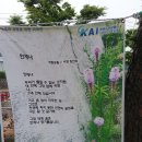 사천송림 이미지