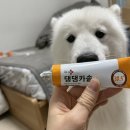 헬로 마이펫 이미지