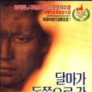 동쪽으로 이미지