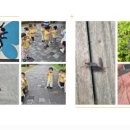 마곡3 연두어린이집 이미지