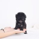 키즈멍 안양본점 이미지