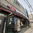 [대마도] 1박 2일, 나 홀로 대마도 자유 여행