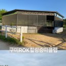 ROK힐링승마