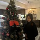 히포레스트(Hipporest) 이미지